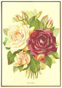 Roses anciennes pour la f&ecirc;te des m&egrave;res